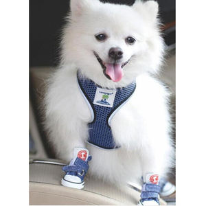 थोक पालतू सहायक उपकरण कुत्ते के जूते गर्म बिक्री फैशन कैनवास कुत्ते के जूते गैर पर्ची जींस नीले रंग कुत्ते स्नीकर्स जूते - Product Image 4