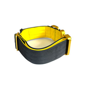 <span class=keywords><strong>Collar</strong></span> de Perro Táctico de Lujo Premium, Acolchado de Neopreno Suave de Nailon, con Hebilla de Liberación Rápida de Aluminio Dorado - Product Image 3