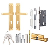 DoorShine Qualité Luxe Moderne Accessoires de porte et fenêtre Serrure à mortaise Poignée à levier long Fabricant Ensemble de poignées de porte