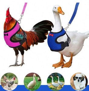 Échantillon Gratuit Harnais et Laisse Réglables pour Poulets et Oies, Petite Taille, Confortables et Respirants, Ensemble Gilet pour Poules - Product Image 3