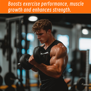 Hot Selling <b>Creatine</b> Powder <b>Creatine</b> Monohydrateq Boosts Exercise Performance Musclegrowth and Enhances Strength - Product Image 3