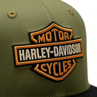 Gorras Snapback Deportivas Personalizadas al por Mayor de 6 Paneles de Oxford y Terry Jersey, Estilo Urbano, Ajustables, Unisex, para Béisbol, con Letras Bordadas