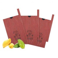 Sacs en papier enduits anti-insectes pour mangues, pour l'agriculture et la culture de la mangue, sacs d'emballage imperméables, taille personnalisable