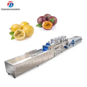 Línea automática de producción de jugo de manzana Limón Kiwi Melocotón Lavado Secado Máquina de clasificación Línea de producción de cebolla deshidratada