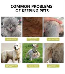 Productos profesionales para el cuidado de mascotas naturales Champú orgánico natural para perros Botella grande a granel Champú y acondicionador para cachorros - Product Image 6