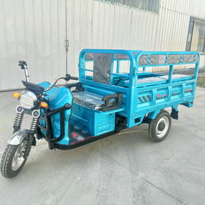 GDY082 Tricycle électrique pratique à batterie au lithium, au plomb et à longue portée, camionnette électrique, tricycle bon marché, vélo électrique - Product Image 6