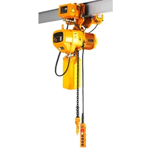 Crane 5t Lifting Equipment Hook Type Electric Chain Hoist 220v Price