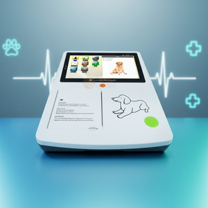 Electrocardiógrafo Veterinario Obstétrico <span class=keywords><strong>de</strong></span> 3 Canales y 12 Derivaciones SUN-6032, Mejor Precio <span class=keywords><strong>de</strong></span> Fábrica - Product Image 4