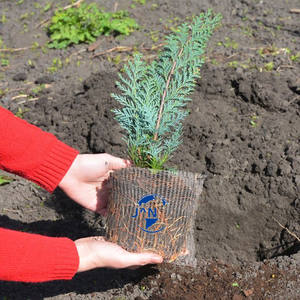 <span class=keywords><strong>Hestia</strong></span> intrecciata argento in acciaio inossidabile coperture da giardino durevoli protezioni portatili rete copertura vegetale in maglia metallica tasca per giardini - Product Image 6