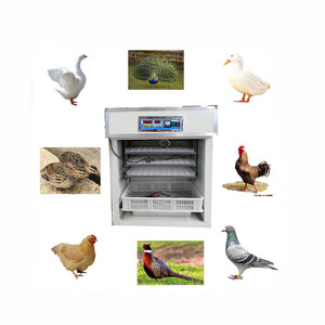 Hot Sale Multifunctional Best Incubator for Chicken Eggs Hatching Incubator with Low Price - Product Image 3