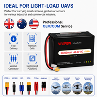 Baterai LiPo 34000mAh 46.2V 8C Heavy Duty untuk Drone Pertanian Penabur Benih Pabrik