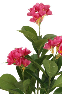Proveedores de Guangdong Plantas verdes falsas de alta simulación con maceta Plumeria Rubra Árbol de flores rojas para decoración interior y exterior - Product Image 5