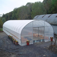 Kits de serres commerciales Semis de légumes à travée unique cadre agricole film plastique tunnel serre de fraises à vendre