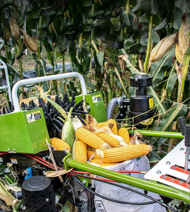 Mini Cosechadora de Maíz Verde, Motor Diésel de 18hp, Transmisión por Engranajes, Maquinaria Agrícola de Alta Productividad - Product Image 2