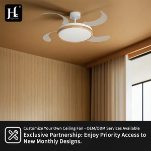 42 Inch APP Control Smart Invisible <b>Fan</b> Light Ventilador De Techo <b>RGB</b> Color Dimmable Modern Retractable Ceiling <b>Fan</b> With Light - Product Image 6