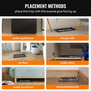 Tốt Nhất Bán 2Pcs Sticker-Laden Keo Bẫy Hiệu Quả Ngoài Trời Động vật gặm nhấm Killer Kiểm Soát Dịch hại Chuột Và Rắn Bẫy - Product Image 4