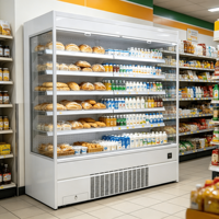 Réfrigérateur commercial sans givre à technologie Inverter, avec plusieurs étagères, pour vitrine de présentation de viande