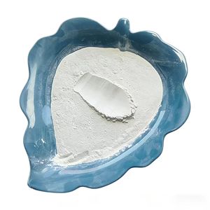 Bubuk Tanah Diatom Alami Kelas Makanan dengan Kemurnian Tinggi, Mineral Non-Metalik untuk Bahan Bantu Penyaringan dan Detoksifikasi - Product Image 1