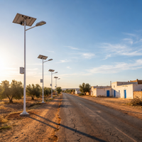 Lampadaire solaire étanche IP65 à LED 80W 120W 150W pour éclairage extérieur de chemins côtiers et routes