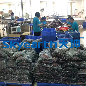 2 Pin Đèn pha thay thế sửa chữa bóng đèn chủ H7 nối cắm Dây ổ cắm - Product Image 4