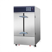 Armoire vapeur électrique sur pied, intelligente, à levage automatique, capacité 100 plateaux/heure, efficacité énergétique A++, garantie 1 an