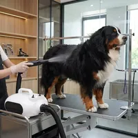 Sèche-cheveux pour animaux de compagnie puissant à double moteur à vitesse réglable B22-2300 avec contrôle intelligent de la température et 3000W