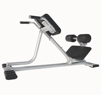 Équipement de fitness commercial en métal – Banc de musculation robuste et écologique pour l'entraînement du bas du dos