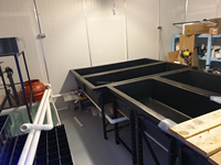 Gros frp grp en fibre de verre piscine coquilles