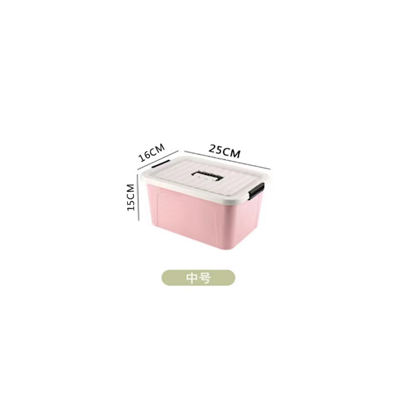 Pink-6L