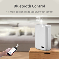 Diffuseur d'aromathérapie électronique intelligent mural sans eau en plastique avec logo personnalisé, concentrateur d'arômes portable pour la maison, hôtels