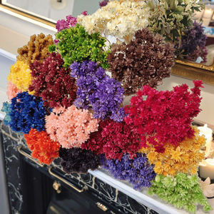 Ghirlanda di Fiori Secchi di Aster Brasiliano, Margherite di Montagna Piccole, per Decorazioni Natalizie Fai-da-te, Ghirlanda Popolare - Product Image 2