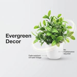 Plante miniature <span class=keywords><strong>en</strong></span> <span class=keywords><strong>pot</strong></span> haute fidélité de 12 cm, verdure artificielle sans odeur pour les salons et bureaux intérieurs - Product Image 4