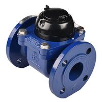 Compteur d'eau DN100 Woltman Type sec IP68 prépayé OEM compteur personnalisable