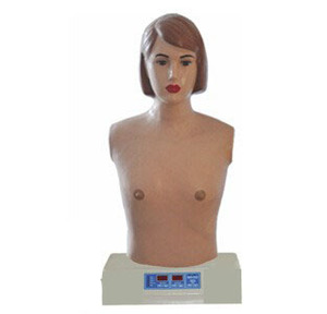 <span class=keywords><strong>Mannequin</strong></span> d'auscultation cardio-pulmonaire féminin CE ISO, torse d'entraînement médical pour l'enseignement des sons cardiaques et pulmonaires en soins infirmiers - Product Image 2