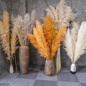 Pampas Grandes, Esponjosas, Pequeñas, Beige, Decoración para el Hogar y Bodas, 45-120 cm, Flores Secas Artificiales Naturales, Hierba de Pampas - Product Image 2