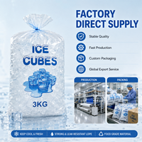 Sacs à glace en plastique alimentaire résistant aux déchirures, avec logo personnalisé, sacs à glace en LDPE