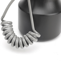 Pulvérisateur Électrique Portable Haute Efficacité 5L, Alimenté par Batterie au Lithium USB, pour Extérieur, Douche, Jardin, Lavage de Voiture, en Plastique