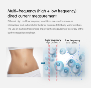 Wholesale Body Composition Analyzer Machine Measures <b>Weight</b> Smart Fat <b>Scale</b> Analyzer Machine - Product Image 2