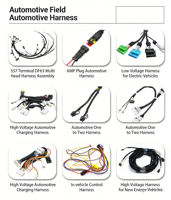 Harness Kabel Listrik Otomotif 2 Inti Tembaga Berisolasi PVC Konektor Sensor Adaptor Kabel Sensor Suhu Pompa Bahan Bakar