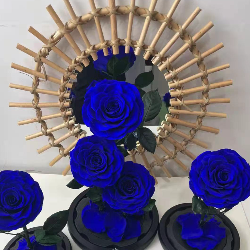 Bleu saphir (sans lumière et boîte cadeau)