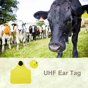 가축 바코드 UHF RFID 염소 귀 태그 칩 장거리 동물 소 양 소 돼지 전자 귀 태그 귀걸이 - Product Image 6
