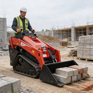 Chargeuse compacte à <span class=keywords><strong>direction</strong></span> par déplacement <span class=keywords><strong>de</strong></span> 200 à 1000 kg pour la maison et la ferme, Chargeuse compacte, Chargeuse pour la maison et la ferme, Chargeuse <span class=keywords><strong>de</strong></span> petite capacité - Product Image 4