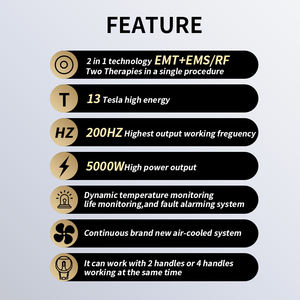 Güzellik ekipmanları için en iyi 5000W yüksek güç ems makinesi ems stimülatörü elektromanyetik kas - Product Image 6