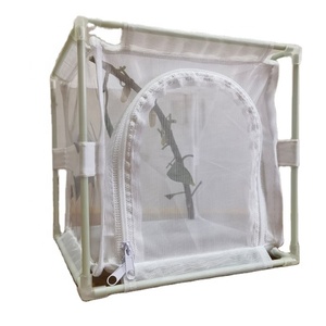 Nouveauté : cages d'incubation et d'élevage d'insectes de petite taille à mailles fines pour mantises, moustiques, mouches, abeilles, libellules, cigales, coléoptères - Product Image 1