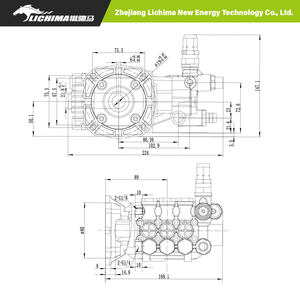 LICHIMA pompa a stantuffo Triplex ad alta pressione 100Bar 120Bar per auto - Product Image 5
