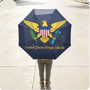 Parapluie pliable noir coupe-vent avec drapeau des Îles Vierges américaines, protection solaire, portable, <span class=keywords><strong>prix</strong></span> bas, vente en gros, panneau personnalisé - Product Image 1