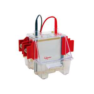 Мини-белковая система вертикального электрофореза - Product Image 4