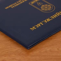 Feuille d'or gaufré en cuir PU cadeau couverture de diplôme dossier de dossier école Graduation rembourré certificat titulaire