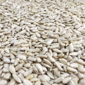 Noyaux de graines de <span class=keywords><strong>tournesol</strong></span> - Product Image 4