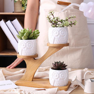 Pot de <span class=keywords><strong>fleurs</strong></span> créatif de qualité supérieure en céramique décorative, avec cadre écologique classique en forme de hibou et emballage combiné en boîte avec insert. - Product Image 6